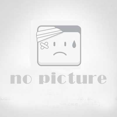 WordPress主题模板源码 Qui-Pure博客主题,自媒体模板源码