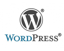 wordpress5.4.2中文版主程序下载