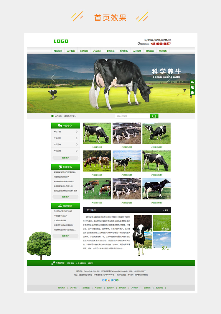 e2c5281f1a6a9e5-169.jpg