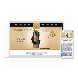 【单页模板】html5自适应养生保健产品网页模板